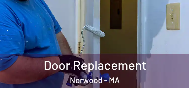  Door Replacement Norwood - MA