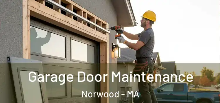 Garage Door Maintenance Norwood - MA