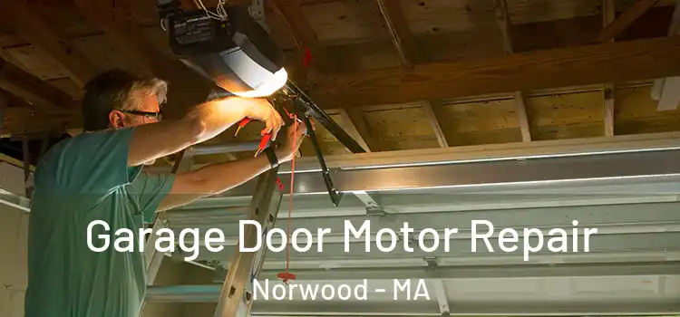  Garage Door Motor Repair Norwood - MA