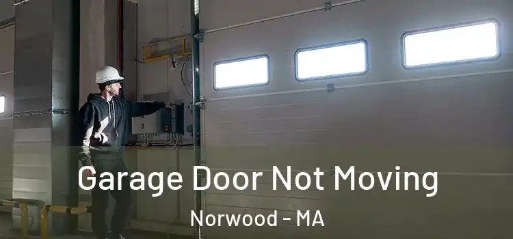  Garage Door Not Moving Norwood - MA