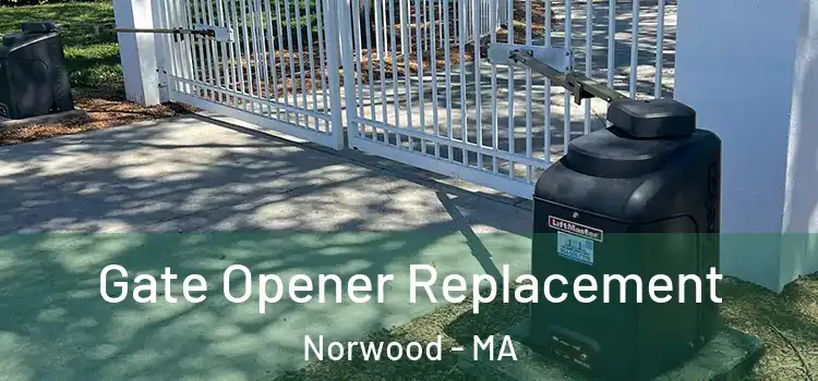  Gate Opener Replacement Norwood - MA