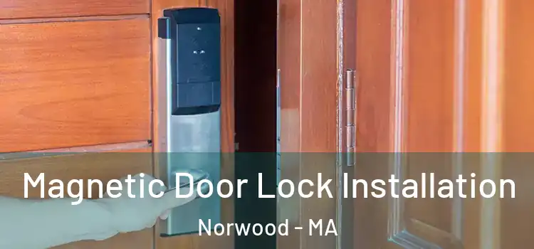  Magnetic Door Lock Installation Norwood - MA