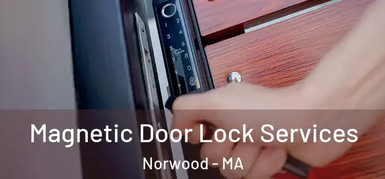 Magnetic Door Lock Services Norwood - MA